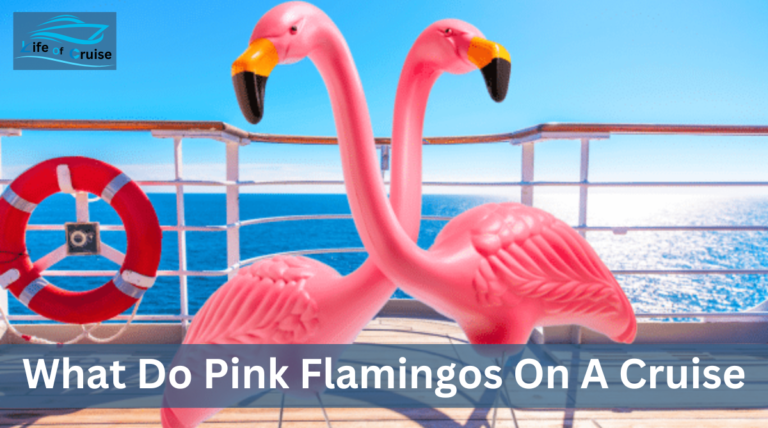 Pink Flamingo Meaning