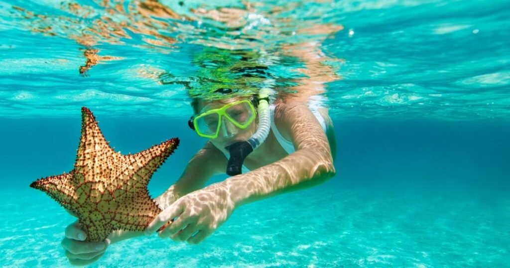 Princess Cays Snorkeling