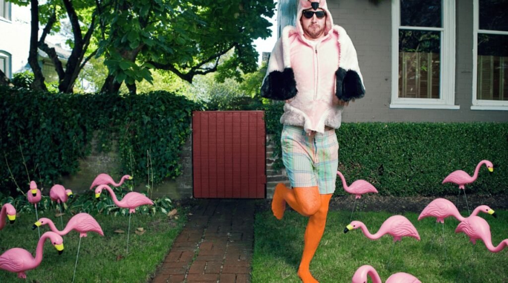 Pink Flamingo Meaning