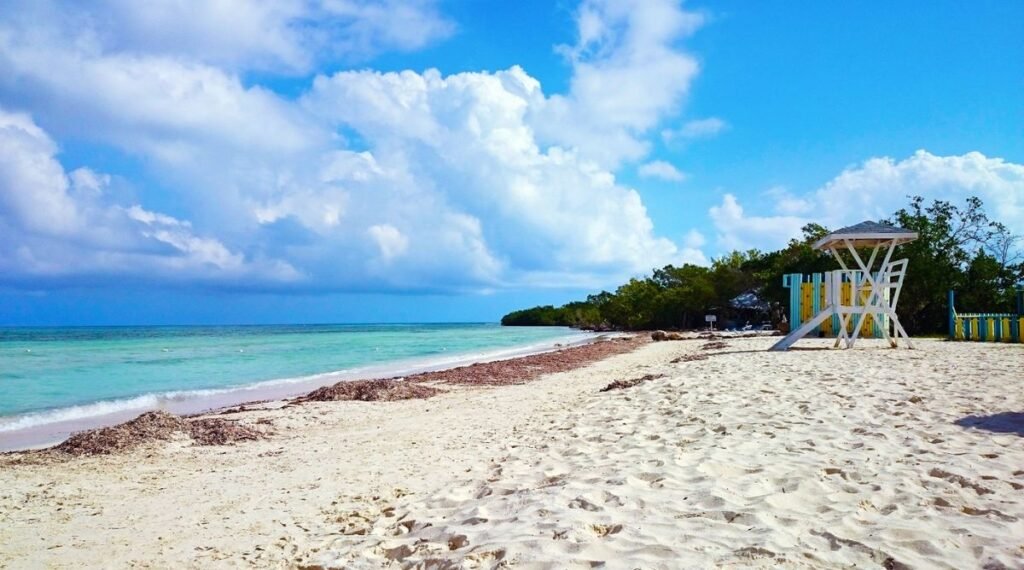 Pristine Beaches in Falmouth